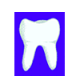 MG: o dente; Dentes